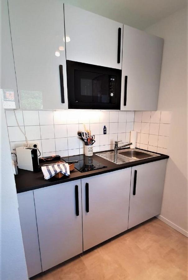 Deluxe Apartment Flamingo In Paradise فرايبورغ المظهر الخارجي الصورة