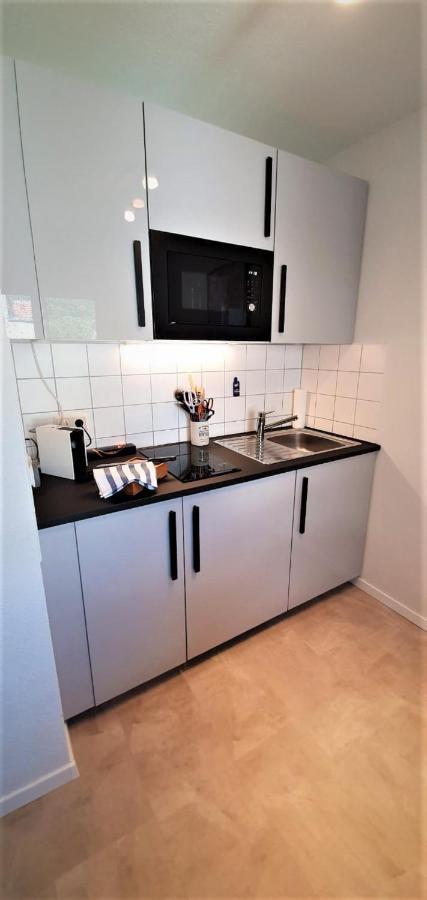 Deluxe Apartment Flamingo In Paradise فرايبورغ المظهر الخارجي الصورة